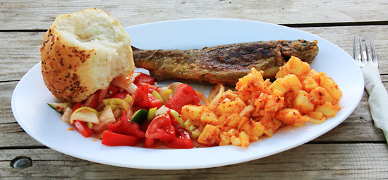 持续更新的免费ddos平台攻击