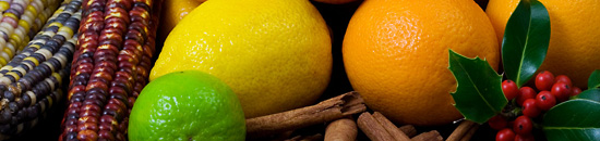 快速上手简单的免费ddos平台攻击